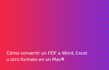 How to convert a PDF to Word or Excel